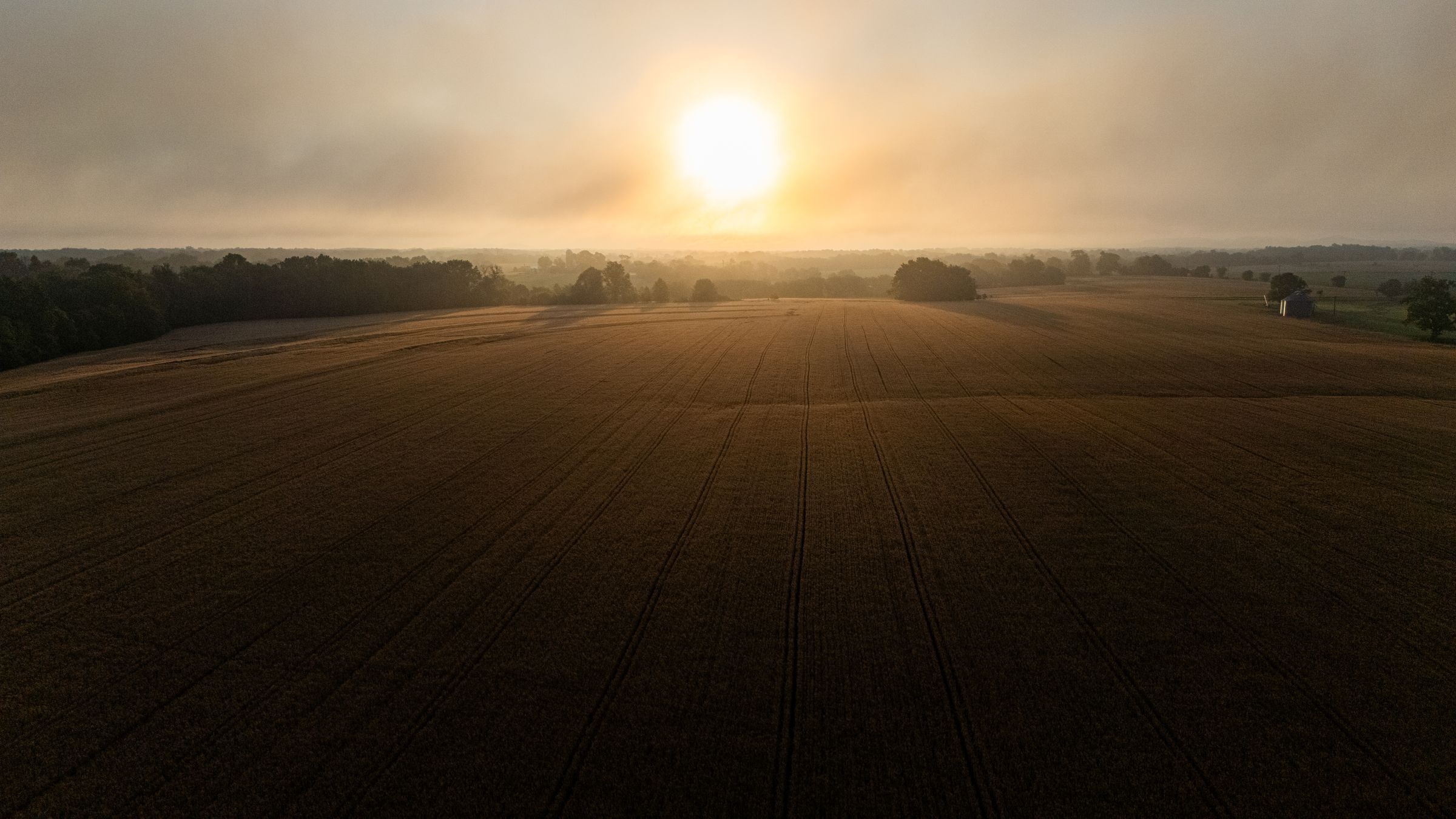 Wheat field in golden light — illustrative photograph